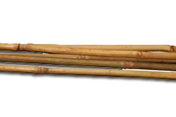Entutorar